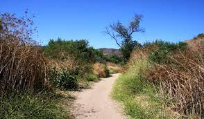 Last updated july 14, 2020. Carbon Canyon Regional Park Brea Ca California Beaches