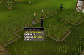Fixed a spelling mistake in the garden of tranquillity when talking to queen ellamaria. Osrs Garden Of Tranquillity Runescape Guide Runehq