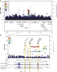 As such, the total profit for sspn this time amounted to rm205.27 million. Functional Characterization Of The 12p12 1 Renal Cancer Susceptibility Locus Implicates Bhlhe41 Nature Communications