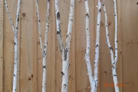 Birch Forked Poles Log Decor Birch Pole
