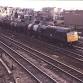 A selection of preserved steam and 1980's Freight event image