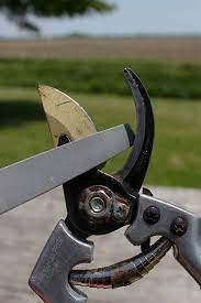 How To Sharpen Pruning Shears The Creek Line House Sharpen Garden Tools Garden Hand Tools Garden Tools