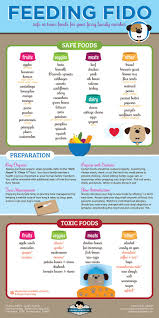 46 timeless what can dogs eat chart