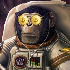 Bitcoin price in monkey today on cryptocurrency exchange markets. Spacemonkey Spacemcrypto Twitter