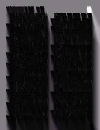 Image result for Buchnera strictissima