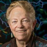 Index of Named Professorships D