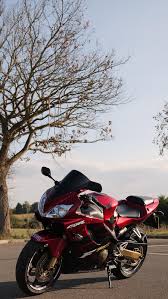 Image result for Candy Bronze 1989 Motorcycle