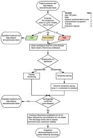 Image result for Lyme Carditis