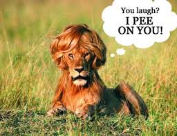 Image result for BIG ANIMALS