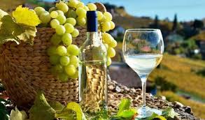¡Celebra el Día del Pisco! Descubre el Brindis Más Grande del Perú