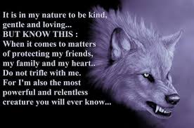 Einsamer wolf (teil 1) (1998). Pin By Rabiah On Wolves Are Beautiful Wolf Quotes Loyalty Quotes Lone Wolf Quotes