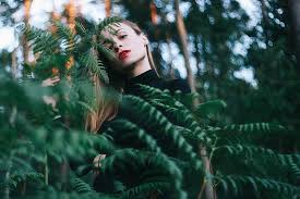 Forest Inspiration Forest Photography Forest Photoshoot Photography Inspiration Nature