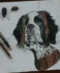 Black And White St Bernard Dog Juste Magnifique St Bernard Dogs Bernard Dog Doggy