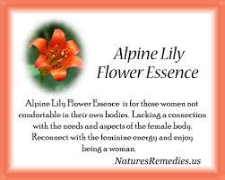 Alpine Lily Flower Essence Nature S Remedies Flower Essences Natural Remedies Flower Remedy