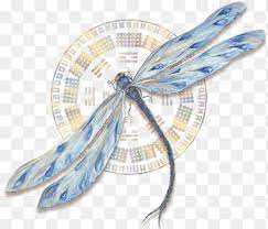 Fishpond new zealand, the gene keys: Gene Keys Unlocking The Higher Purpose Hidden In Your Dna Book Gennye Bolezni Massage Book Author Number Png Pngegg