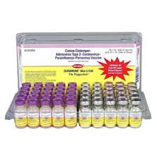 Giving your puppy vaccinations or shots is not for the faint of heart. Buy Dog Vaccines Online Puppy Vaccinations Allivet