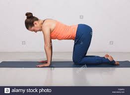 Beautiful Sporty Fit Yogi Girl Practices Yoga Asana Bitilasana Stock Photo Alamy
