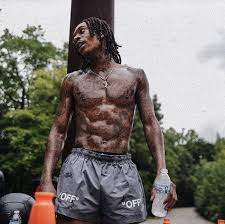 Wizkhalifa streams live on twitch! 85 Wiz Khalifa Ideas In 2021 Wiz Khalifa The Wiz Taylors Gang