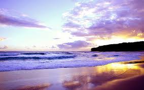 Maybe you would like to learn more about one of these? Hd Wallpaper Beach Purple Sunset Nature Wallpaper Flare