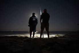 Andrews, n.b., shows a startling attack on an unlucky. Sand Everywhere Save Our Seas Foundation