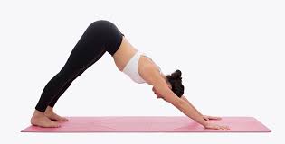 Transition To Transformation Yoga Videos Downward Dog Yoga Yoga Images