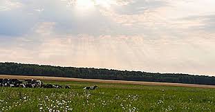 It is bordered by russia to the east and northeast,. Montanha Mais Alta Da Bielorrussia 2021