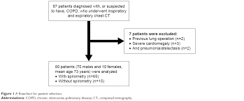 Full Text 3d Measurement Of Tracheobronchial Angles On