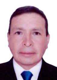 Ingresos de Otorongos Elecciones 2022