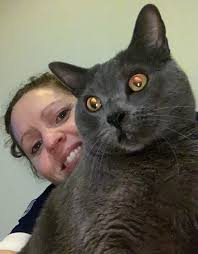 Monroe Animal Care Hospital, PC, MONROE, GA 30655