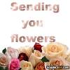 Sent directly from top local florists! 3