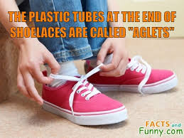 The Plastic Tubes At The End Of Shoelaces Are Called Aglets Shoe Laces Fun Facts Facts