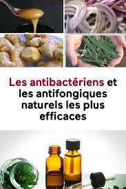 Pin On Astuces Naturelles