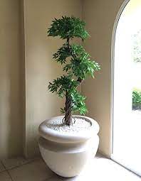 Premium Modern Beautiful Artificial Plants Trees Large Japanese Fruticosa Tree Handmade Using Real Bark Synt Silk Plants Plants Artificial Plants And Trees
