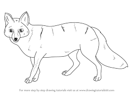 We did not find results for: Learn How To Draw A Pampas Fox Wild Animals Step By Step Drawing Tutorials