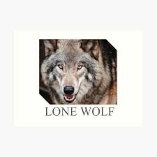 We did not find results for: Wandbilder Einsamer Wolf Redbubble
