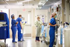 Boosting Immune System A Potential Treatment Strategy For Covid 19 Washington University School Of Medicine In St Louis