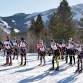 Potato Cup Pursuit Ski Race
