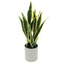 What gives the snake plant its name? Snake Plant Faux Plants You Ll Love In 2021 Wayfair
