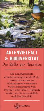 Artenvielfalt Biodiversitat Im Garten Das Sollten Sie Wissen Pflanzen Vielfalt Artenschutz