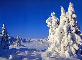 Paysage Enneige Dans La Station De Ski De Sjusjoen En Norvege Croisiere Croisierenet Com Voyage Norvege S Paysage Nordique Paysage Hiver Paysage De Neige