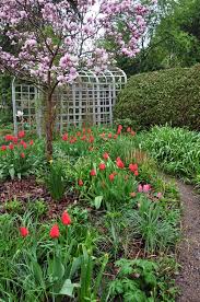 Color Size And Placement Of Bulbous Blooms Are Important Here 39 S How To Incorporate Bulbs Into Your Landscape For Maximum Landscape Design Landscape Bulb
