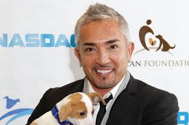 Celebrity dog clearance trainers