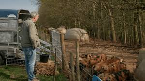 Jeremy Clarkson breaks down in tears as he's forced into 'f***ing sad'  farming decision in Clarkson's Farm