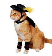 The 20 Best Halloween Pet Costumes Gallery Glo Pet Halloween Costumes Cat Halloween Costume Pet Costumes Cat