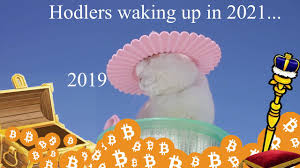 #hodl #bitcoin #btc #bitcoinmemes looking for the 10 hour. Bitcoin Meme 2021 Youtube