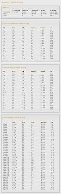 44 Thorough Scarpa Size Guide