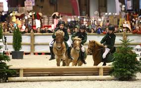 Cette compétition prévoit des épreuves toujours plus allez, tous à la billetterie, le salon du cheval approche à grands pas ! Cinq Bonnes Raisons De Profiter En Famille Du Salon Du Cheval A Villepinte Le Parisien