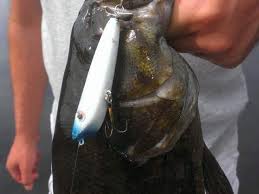 It's a great way to recycle plastic, save money and customize your. Make Lure Easily Mold Cast Your Own Fishing Lures