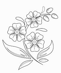Flower Drawings For Kids Paijo Network Easy Flower Drawings Pretty Flower Drawing Beautiful Flower Drawings