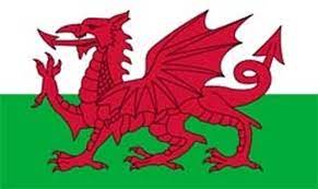 Wales keltischer knoten walisischer drache walisischer leute kelten, kunst, kunstwerk png. Flaggen Shop Wales Flagge 90x150 Cm Kaufen Bestellen